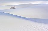 White Sands_32283